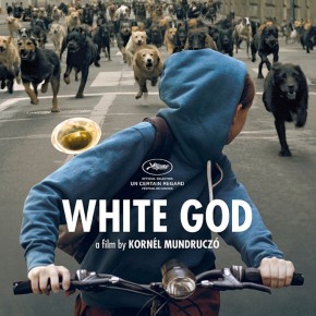 [NOTRE AVIS] White God, grand prix 2014 du Certain Regard